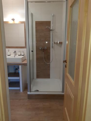uma casa de banho com um chuveiro e um lavatório. em Ferienwohnung Claus em Meissen