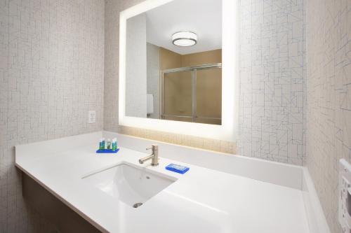 A bathroom at Holiday Inn Express Hotel & Suites Auburn Hills, an IHG Hotel