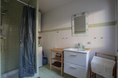 une salle de bain avec un lavabo et une douche dans l'établissement Appartement Talloires vue lac et montagnes, à La Pirraz