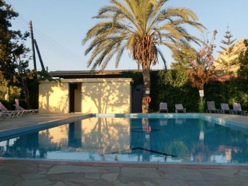 a swimming pool with a palm tree next to a house at Hotel Neos Matala in Matala