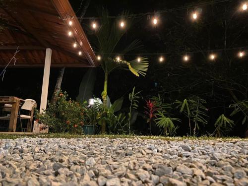 a rock patio at night with lights and plants at Ukinca in Uvita