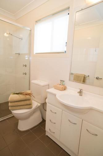 a bathroom with a toilet and a sink and a mirror at The Grapevine Motel in Denman