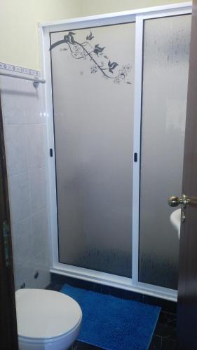 a bathroom with a toilet and a glass shower door at Rochinha House in Funchal