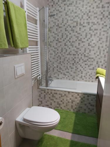 a bathroom with a toilet and a shower and a green rug at Ski Station Apartments in Arinsal