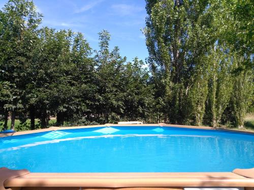 a blue swimming pool with trees in the background at Rêve d’Emma in Plan-dʼOrgon