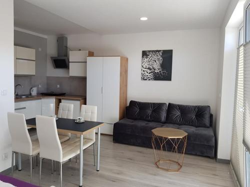 Apartament Kapitana przy plazy typu studio