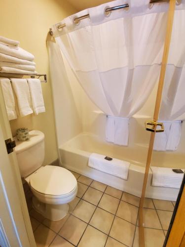 a bathroom with a toilet and a tub with towels at Country Inn & Suites by Radisson, Bend, OR in Bend