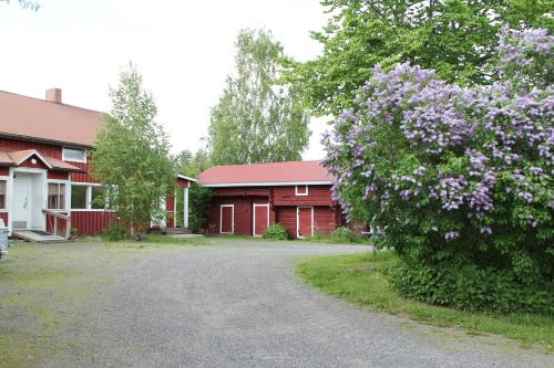 a house with a tree with purple flowers in front of it at Huoneisto omenapuiden katveessa in Kankaanpää