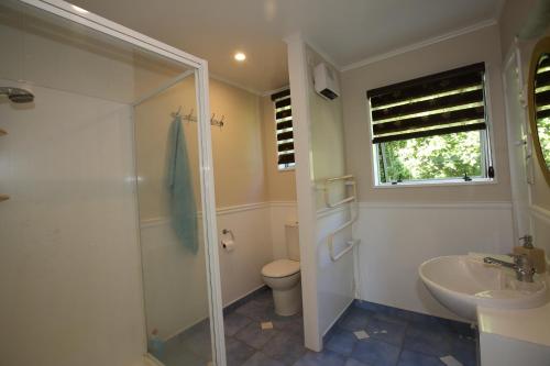 a bathroom with a shower and a sink and a toilet at Star Dream Manor in Lake Tekapo
