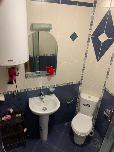 a bathroom with a toilet and a sink at Apartmani Mićić in Vrnjačka Banja