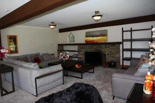 a woman sitting in a living room with a fireplace at Star Dream Manor in Lake Tekapo