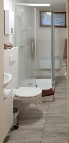 a bathroom with a shower and a toilet and a sink at Ferienhäuser Pannier III und oder IV Doppelhaushälften in Gartow