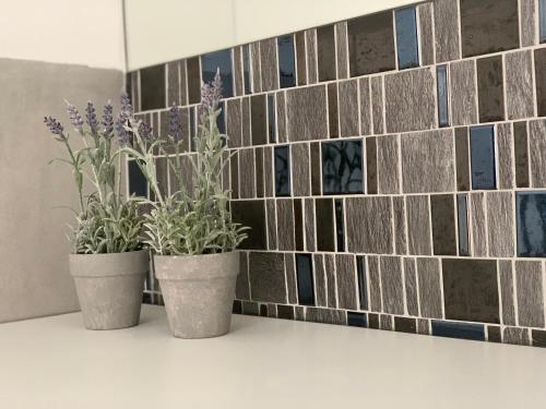 two potted plants sitting on a counter in front of a tile wall at Apartament45 in Giżycko