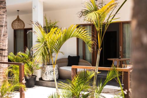 a living room with palm trees and a couch at Ohana's Beachfront Resort & Beach Club in Nusa Lembongan