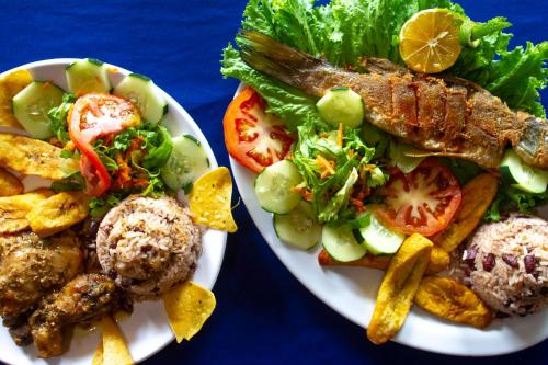 dos platos de comida con pescado y una ensalada en Cabinas El Muellecito en Tortuguero