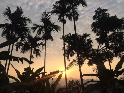 a group of palm trees in front of a sunset at PU LUONG BOUTIQUE GARDEN in Pu Luong