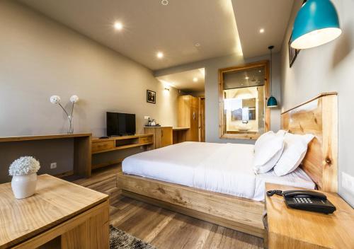 a bedroom with a large bed and a television at The Bodhi Tree in Leh