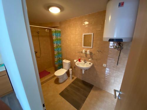 La salle de bains est pourvue d'un lavabo, de toilettes et d'une douche. dans l'établissement Apartmány Viktorka, à Černý Důl