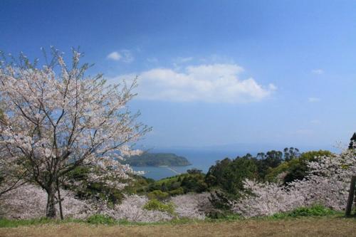 Gallery image of Minsyuku Ibusuki in Ibusuki