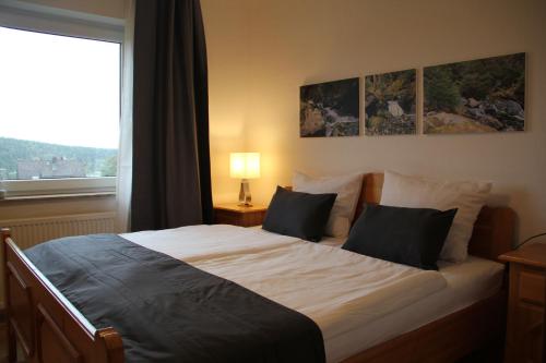 um quarto com uma cama grande e uma janela em Ferienresidenz Wurmbergblick em Braunlage