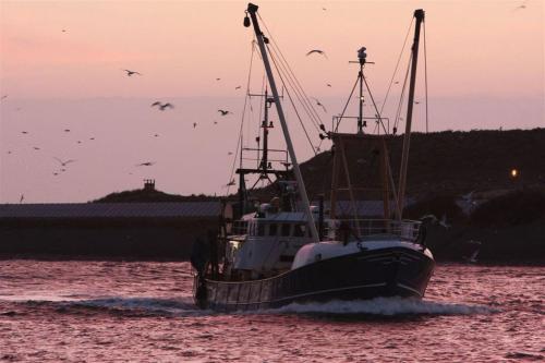 a boat in the water with birds flying around it at Hotel Velsen in IJmuiden