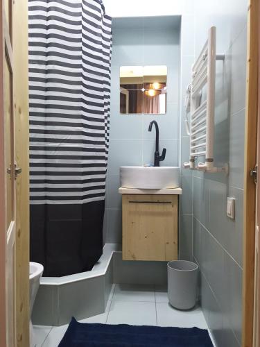 uma casa de banho com um lavatório e um chuveiro em Apartment 2 floors em Yerevan