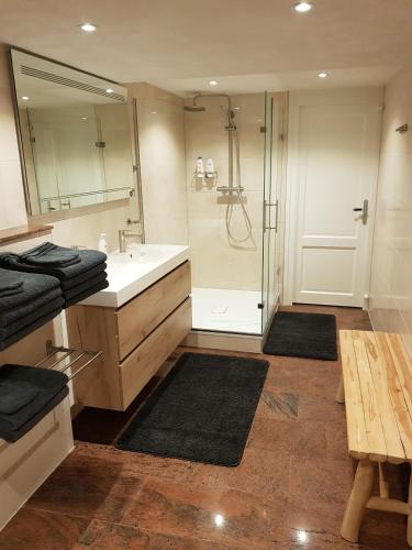 a bathroom with a shower and a sink and a mirror at All Exclusive Apartments in Dordrecht
