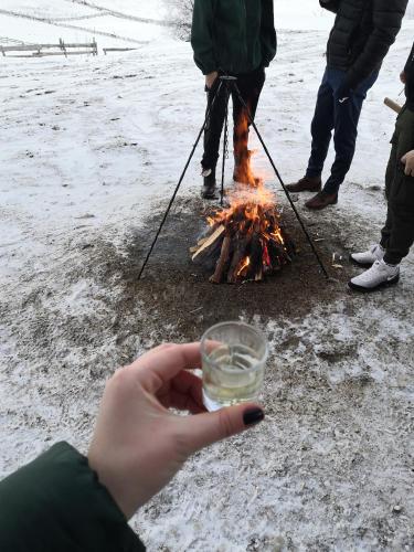 a person holding a glass of wine next to a fire at Cabana Poiana Dealul Frumos in Gîrda de Sus