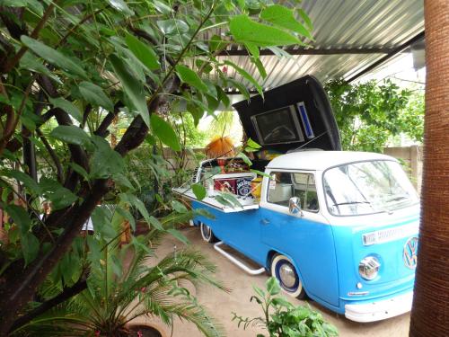 Villa Africa Guesthouseにある庭