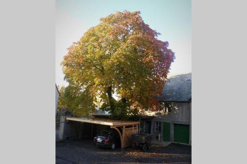 a large tree sitting on top of a house at Sinnes Wandel Hof Serka in Grimma