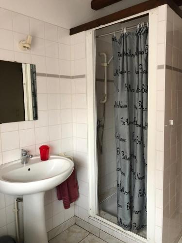 a bathroom with a sink and a shower at Villa Gites Chambre d hôtes avec piscine Dordogne 2-4-6-8-10 personnes in Bussière-Badil