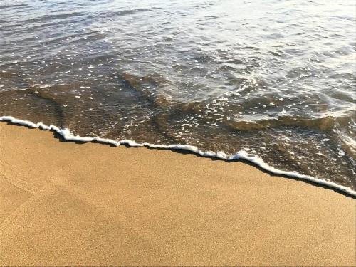 アパートメントの近くで見られる自然の景観