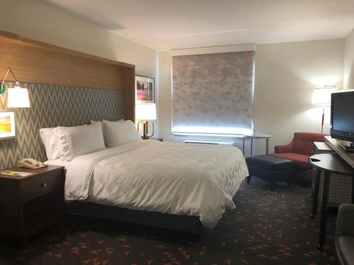 a hotel room with a bed and a television at Holiday Inn Statesboro-University Area, an IHG Hotel in Statesboro