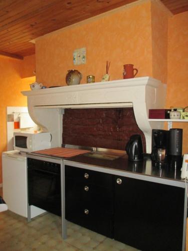 a kitchen with a stove and a counter top at La Clé Des Champs in Villiers-les-Hauts