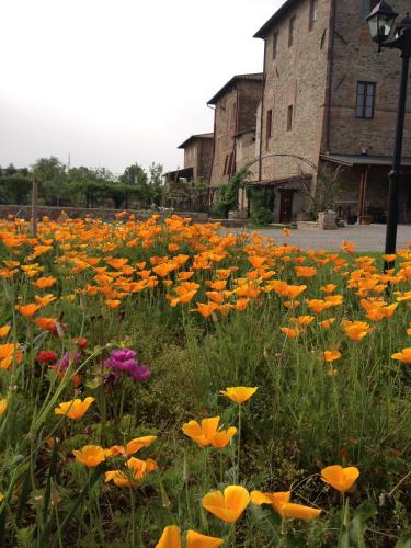 a field of flowers in front of a building at Abbazia Sette Frati Agriturismo Fratres in Pietrafitta