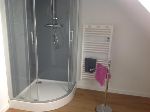 une cabine de douche dans une salle de bain avec une serviette violette dans l'établissement Au Bord Du Chenal, à Porspoder