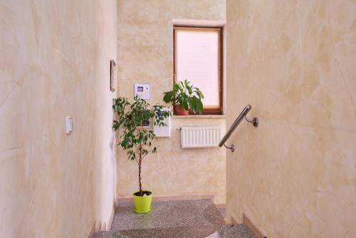 Fotografie z fotogalerie ubytování Special flat with great central location v destinaci Charkov