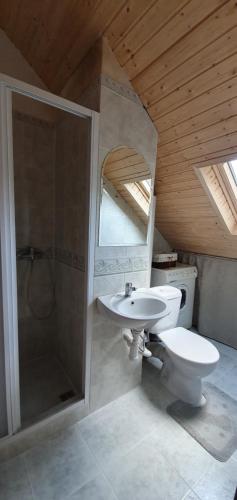 a bathroom with a toilet and a sink and a shower at Lipno & Wellness Chata in Loučovice