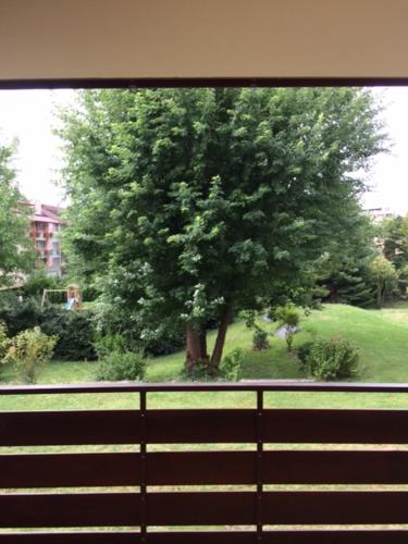 Κήπος έξω από το Appartements am Park