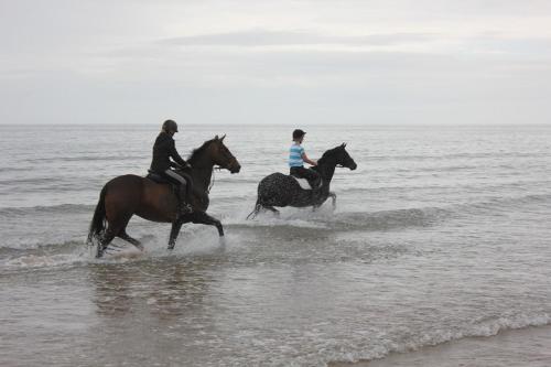 dos personas montando caballos en el agua en la playa en High Keenley Fell Farm, en Allendale