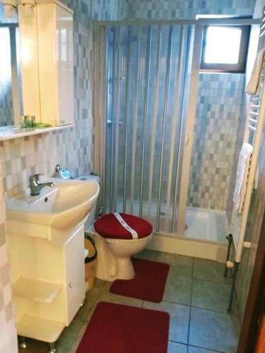 a bathroom with a toilet and a sink and a shower at Pensiunea Agroturistică Piscul Soarelui in Cîmpulung