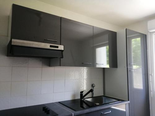 eine Küche mit schwarzen Schränken und einem Waschbecken in der Unterkunft Boulevard Paul Valéry in Montpellier