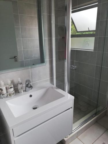 a bathroom with a white sink and a shower at The Blyde Crystal lagoon Pretoria in Pretoria
