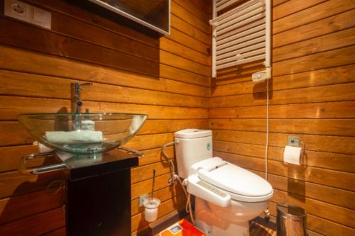 a bathroom with a bowl sink and a toilet at SIERRA NEVADA DELUXE in Sierra Nevada