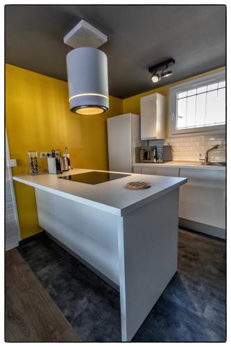 Η κουζίνα ή μικρή κουζίνα στο Le Florence - Duplex moderne climatisé avec garage