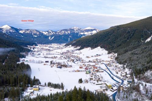 a ski resort in the middle of a snowy mountain at Dachstein Mountainview Gosau in Gosau