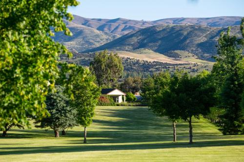 a field with trees and mountains in the background at Lime Tree Lodge in Wanaka