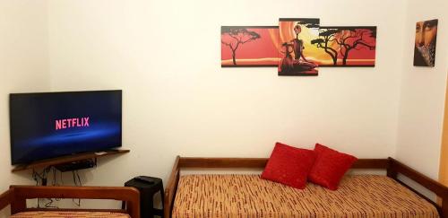 a bedroom with a bed with red pillows and a television at MDQ 4to20 in Mar del Plata