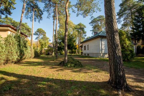 a group of trees in front of a house at Dom w lesie in Łask