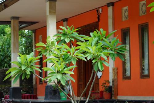 an orange house with trees in front of it at Made Roejas Family in Uluwatu